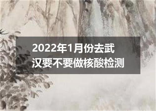 2022年1月份去武汉要不要做核酸检测