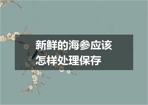 新鲜的海参应该怎样处理保存