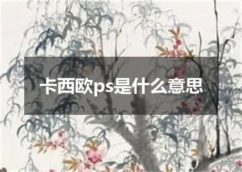 卡西欧ps是什么意思