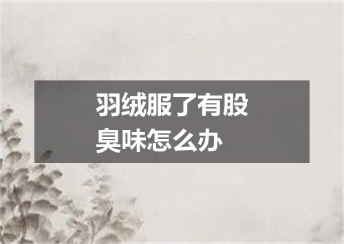 羽绒服了有股臭味怎么办