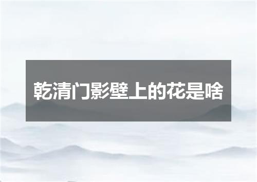 乾清门影壁上的花是啥