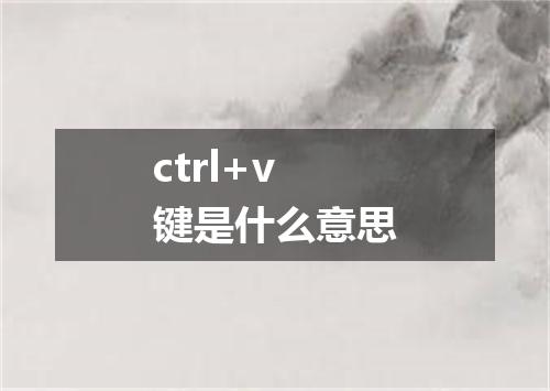 ctrl+v键是什么意思