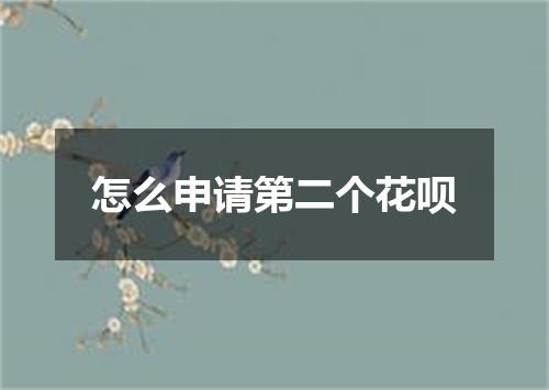 怎么申请第二个花呗