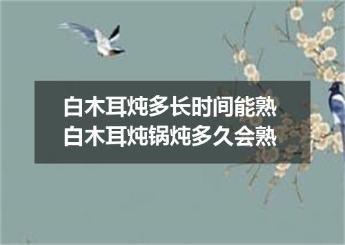 白木耳炖多长时间能熟 白木耳炖锅炖多久会熟