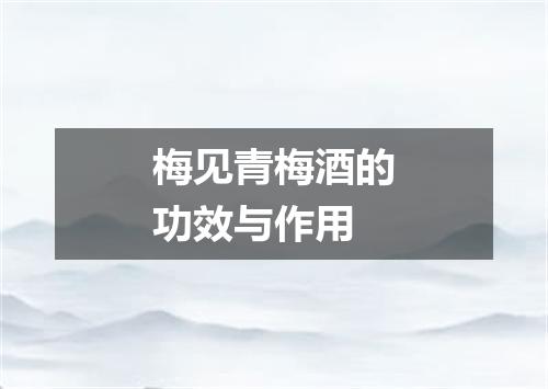 梅见青梅酒的功效与作用
