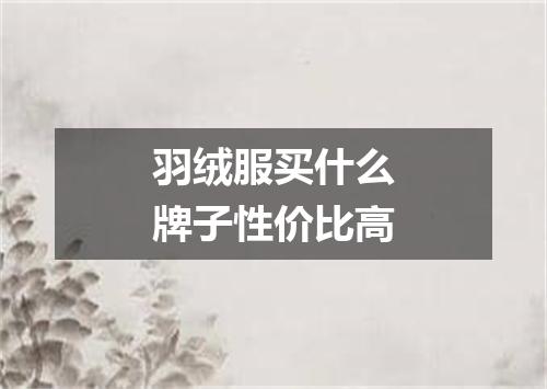 羽绒服买什么牌子性价比高