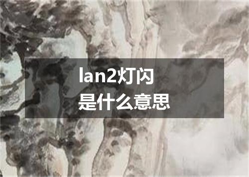 lan2灯闪是什么意思