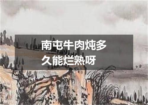 南屯牛肉炖多久能烂熟呀