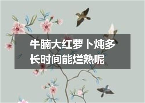 牛腩大红萝卜炖多长时间能烂熟呢