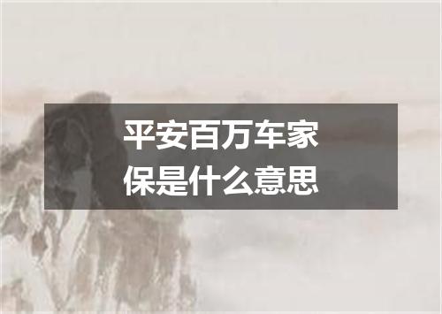 平安百万车家保是什么意思