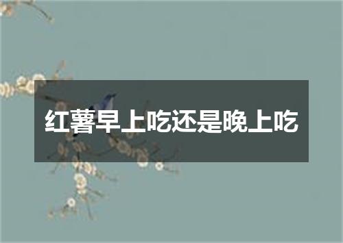 红薯早上吃还是晚上吃