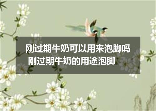 刚过期牛奶可以用来泡脚吗 刚过期牛奶的用途泡脚