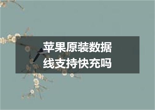 苹果原装数据线支持快充吗