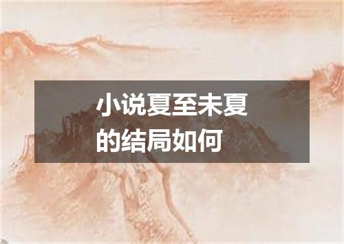 小说夏至未夏的结局如何