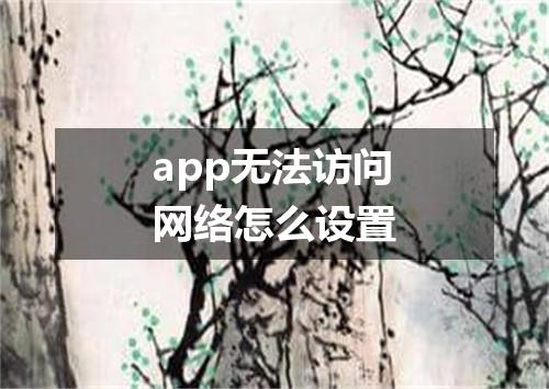 app无法访问网络怎么设置