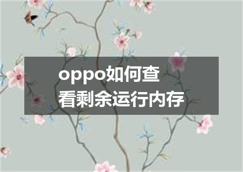 oppo如何查看剩余运行内存