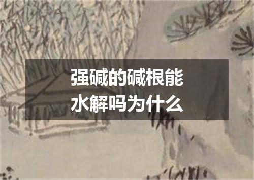 强碱的碱根能水解吗为什么