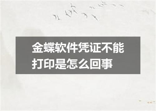 金蝶软件凭证不能打印是怎么回事