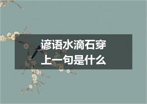 谚语水滴石穿上一句是什么