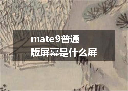 mate9普通版屏幕是什么屏
