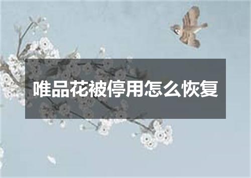 唯品花被停用怎么恢复