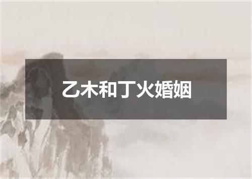 乙木和丁火婚姻