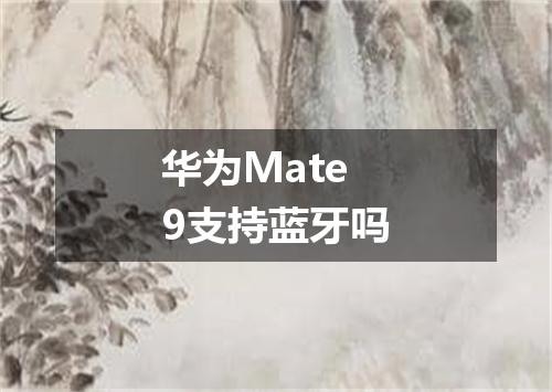 华为Mate9支持蓝牙吗