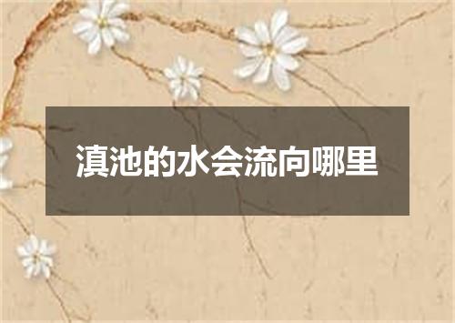 滇池的水会流向哪里