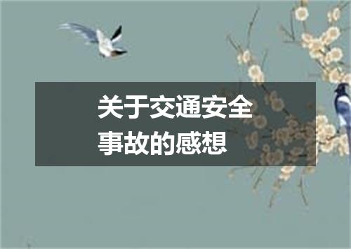 关于交通安全事故的感想