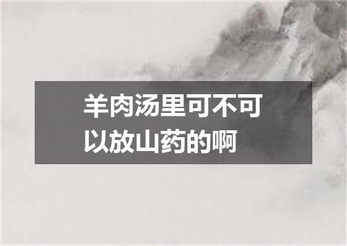 羊肉汤里可不可以放山药的啊