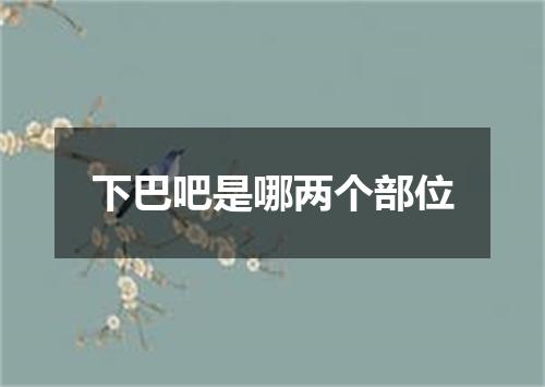 下巴吧是哪两个部位