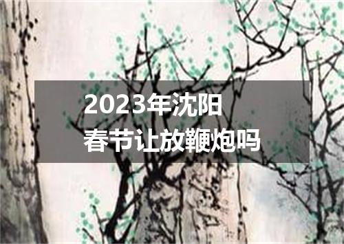 2023年沈阳春节让放鞭炮吗
