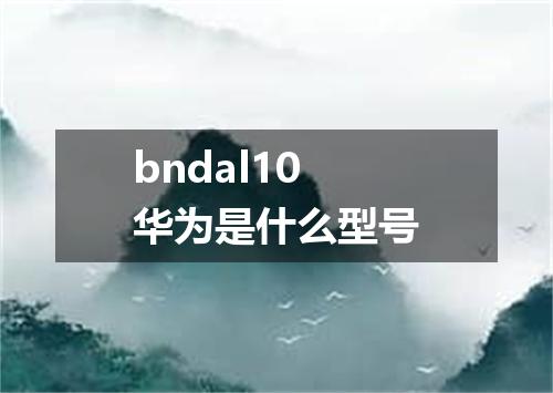 bndal10华为是什么型号