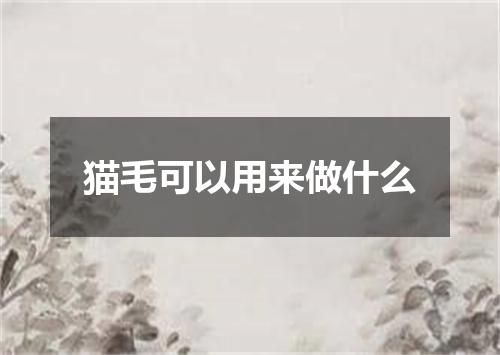 猫毛可以用来做什么