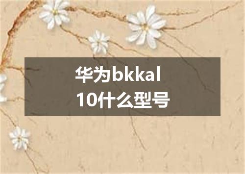 华为bkkal10什么型号