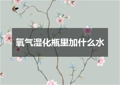 氧气湿化瓶里加什么水