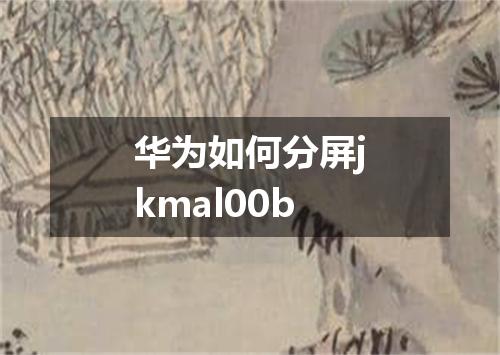 华为如何分屏jkmal00b