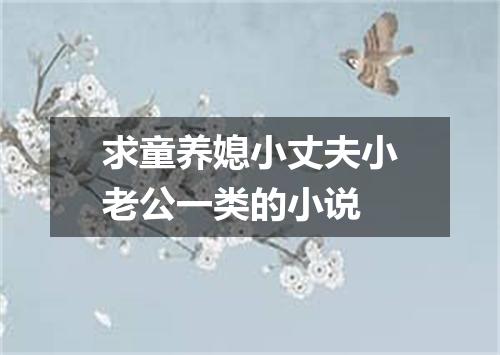 求童养媳小丈夫小老公一类的小说