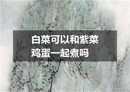 白菜可以和紫菜鸡蛋一起煮吗