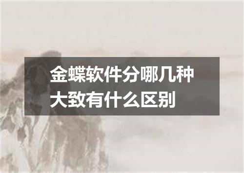 金蝶软件分哪几种大致有什么区别