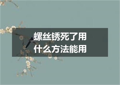 螺丝锈死了用什么方法能用