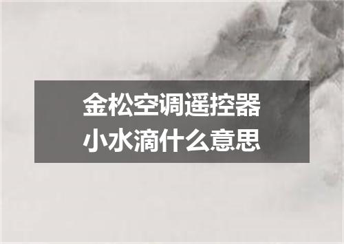 金松空调遥控器小水滴什么意思
