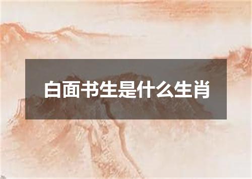 白面书生是什么生肖