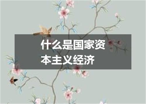 什么是国家资本主义经济