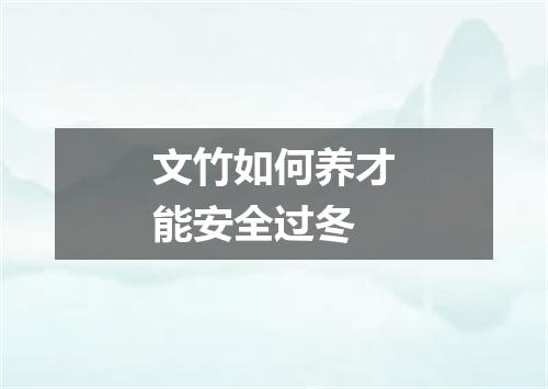 文竹如何养才能安全过冬