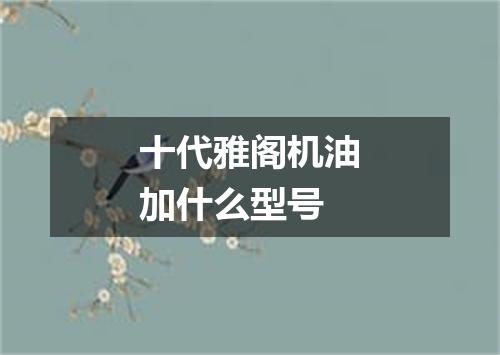 十代雅阁机油加什么型号