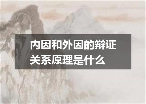 内因和外因的辩证关系原理是什么