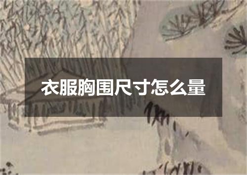 衣服胸围尺寸怎么量