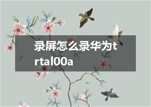 录屏怎么录华为trtal00a