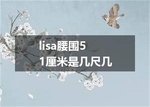 lisa腰围51厘米是几尺几